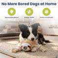 Load image into Gallery viewer, PawsPik® Sloth Squeaky Crinkle Plush Rope Tug & Chew Dog Toy, Beige
