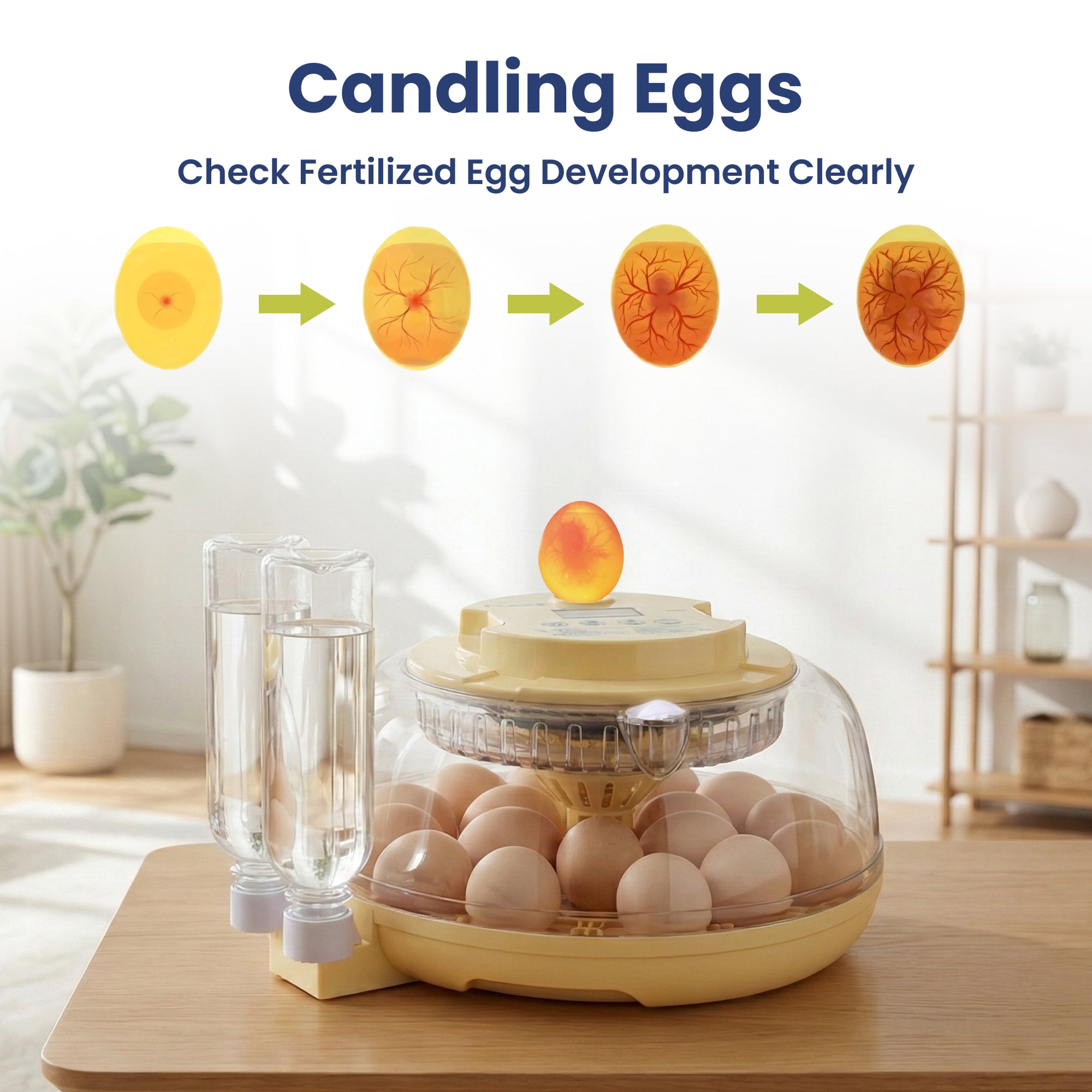 PawsPik® Automatic 18 Egg Smart Incubator