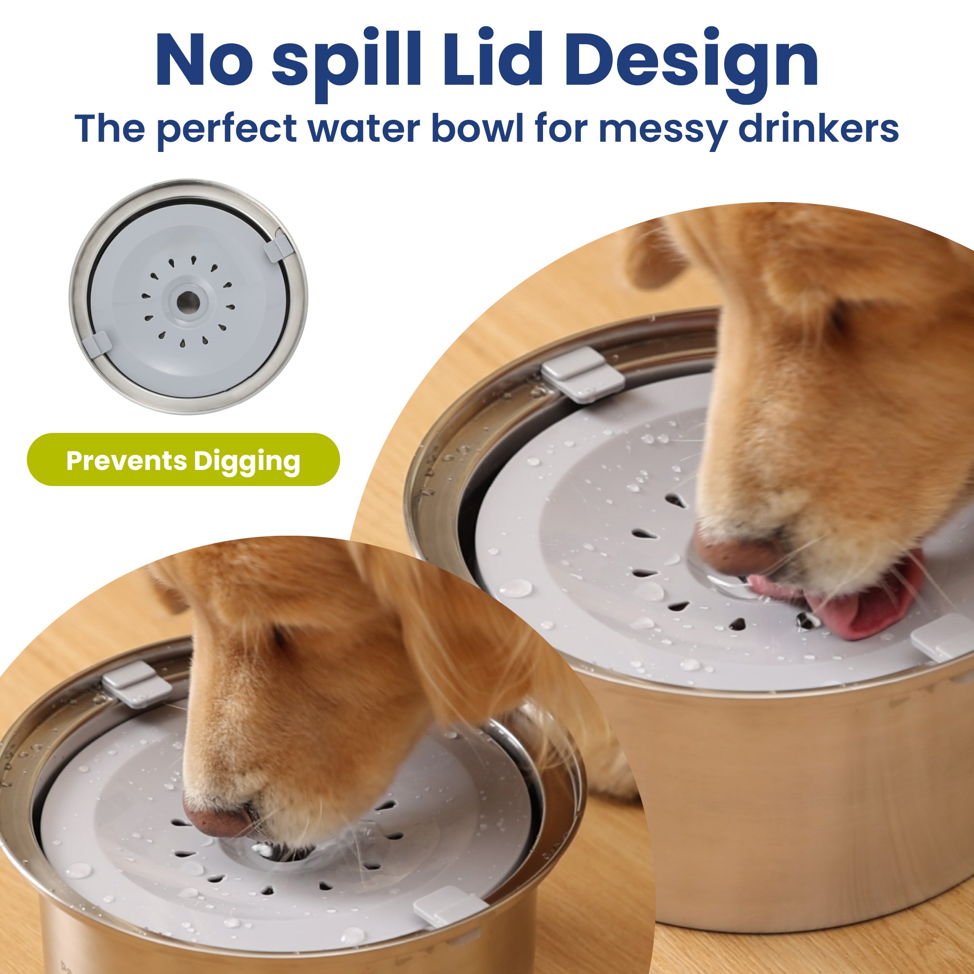 A golden retriever drinks from a no-spill water bowl for dogs with a lid designed to prevent mess and digging, keeping water contained.