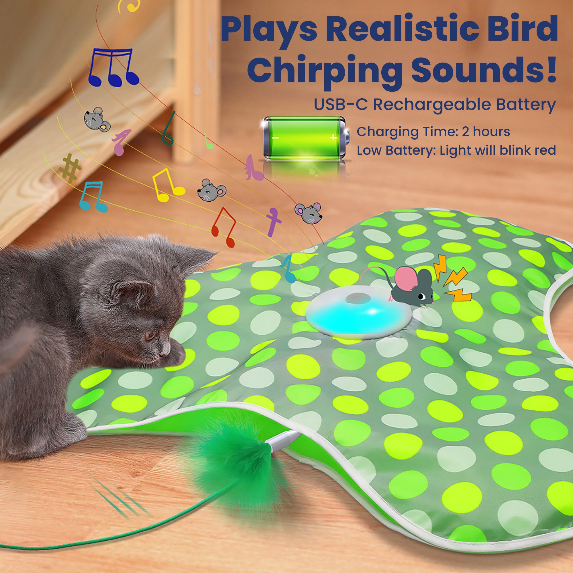 PawsPik® Interactive Hide & Seek Concealed Feather Cat Toy, Green