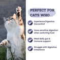 Load image into Gallery viewer, Artisanal Paws™ Digestive Enzyme Support Formula Powder Supplement for Cats, 3.8-oz

