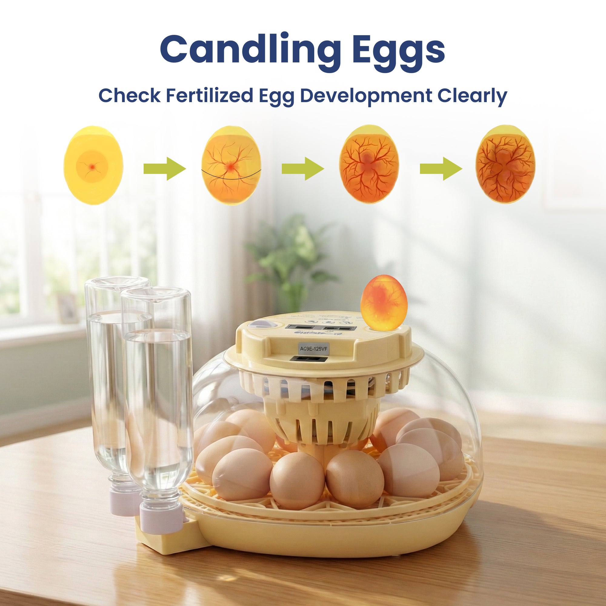 PawsPik® Automatic 12 Egg Smart Incubator