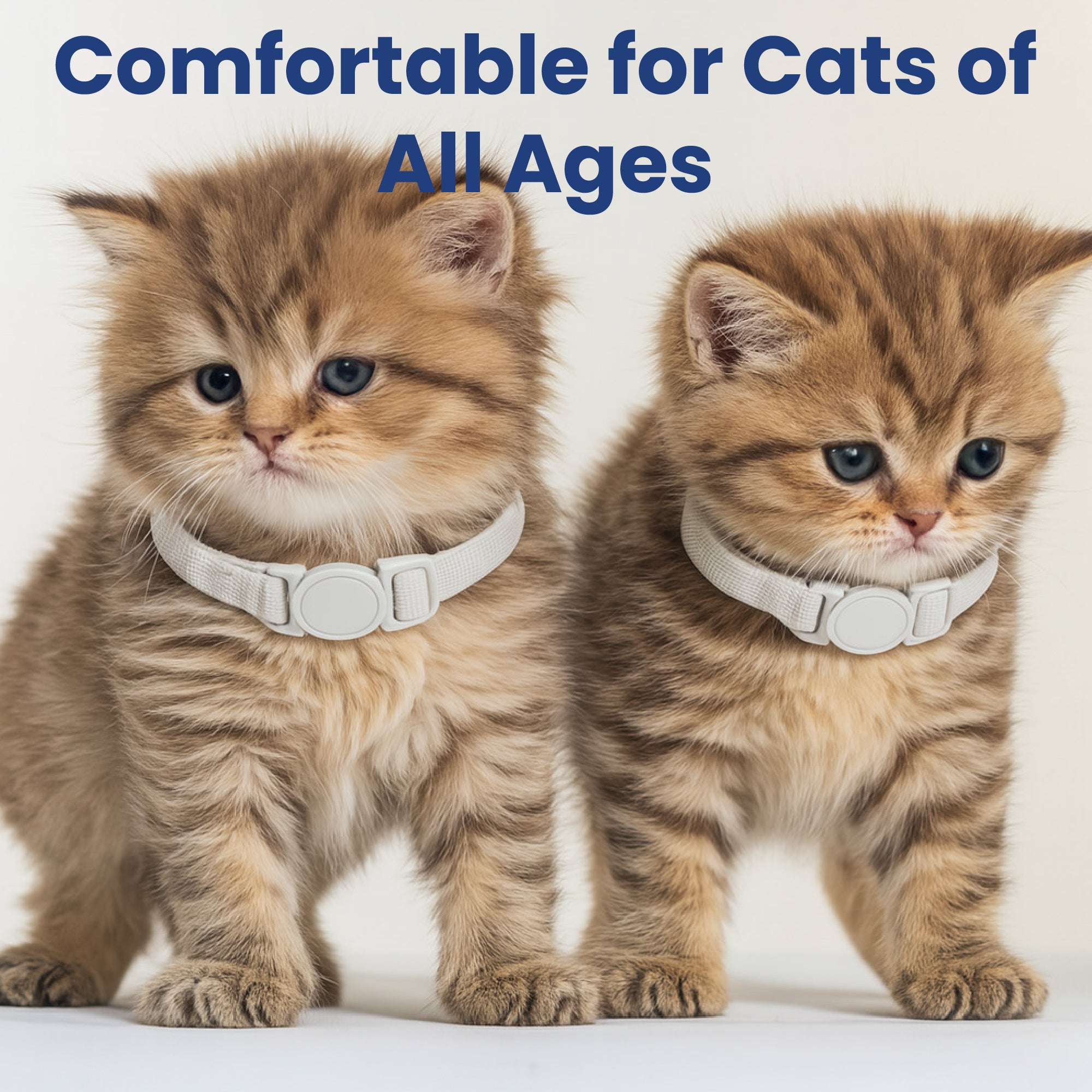 PawsPik® SoftStetch Breakaway Cat Collar