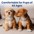 Load image into Gallery viewer, PawsPik® SecureFit Dog Collar
