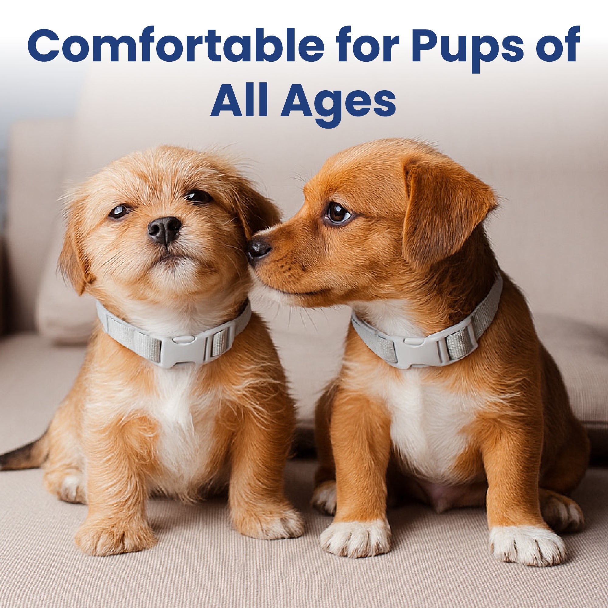 PawsPik® SecureFit Dog Collar