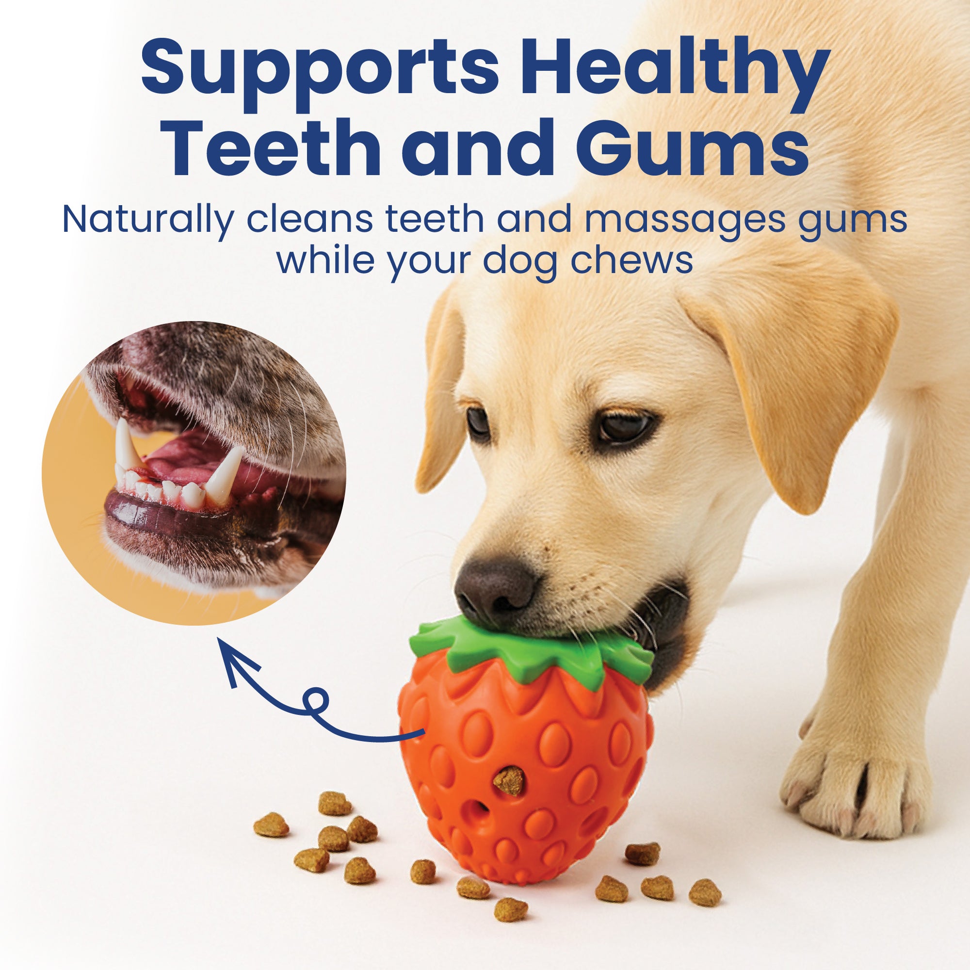 PawsPik® Strawberry Treat Dispensing Enrichment Dog Chew Toy