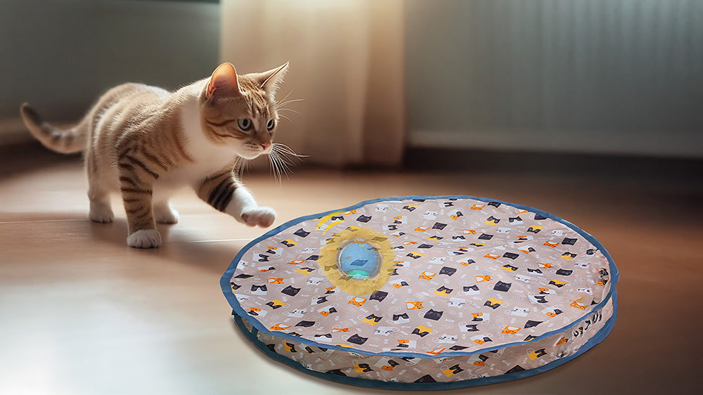 A curious striped cat approaches a colorful patterned PawsPik electronic cat toy, featuring playful designs, in a sunlit room.