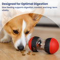 Load image into Gallery viewer, PawsPik® Dual Sphere Treat-Dispensing Rolling Toy
