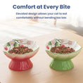 Load image into Gallery viewer, PawsPik® PawsPik Strawberry Blooms Elevated Ceramic Cat Bowl
