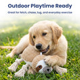 Load image into Gallery viewer, PawsPik® Sloth Squeaky Crinkle Plush Rope Tug & Chew Dog Toy, Beige
