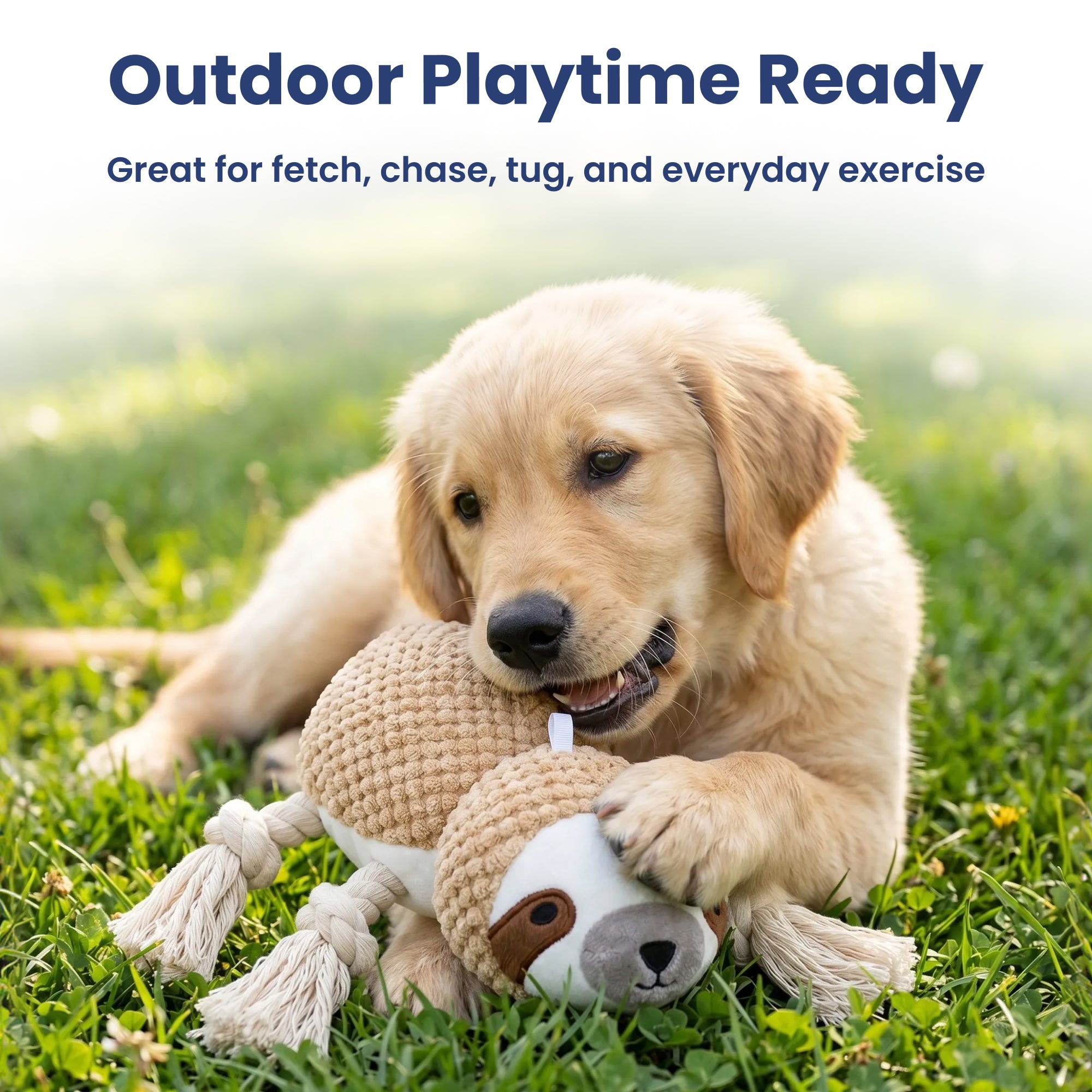 PawsPik® Sloth Squeaky Crinkle Plush Rope Tug & Chew Dog Toy, Beige