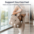 Load image into Gallery viewer, PawsPik® TinyTrek Plush Dog & Cat Carrier Bag
