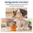 Load image into Gallery viewer, PawsPik® Fresh Picks Holiday Collection Elevated Ceramic Cat Bowl, Orange, 8-oz
