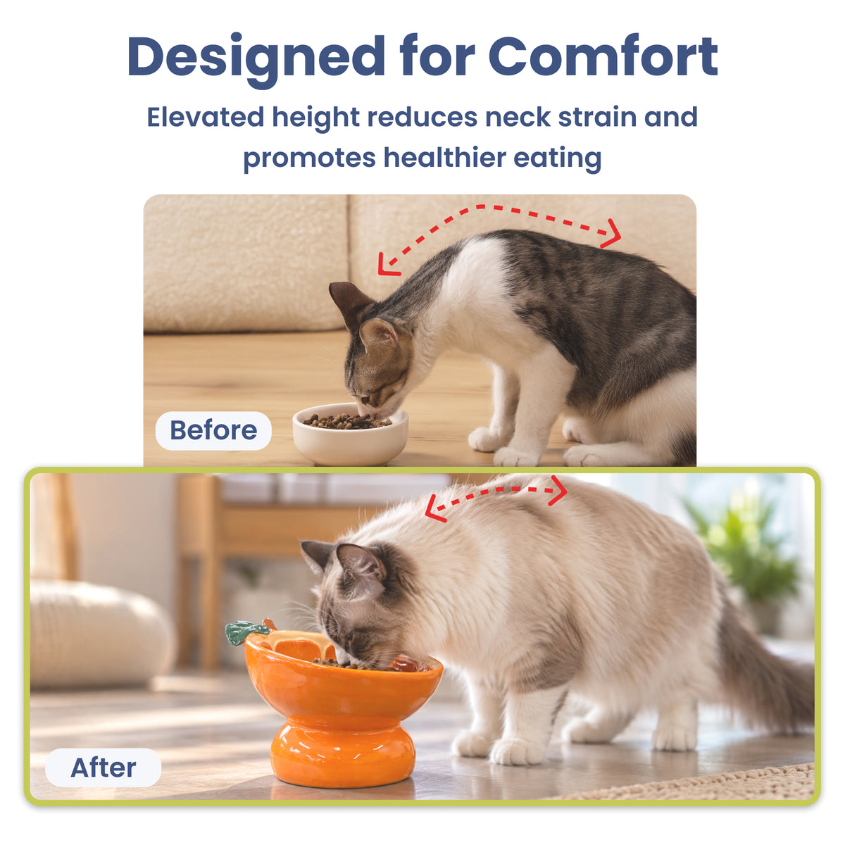 PawsPik® Fresh Picks Holiday Collection Elevated Ceramic Cat Bowl, Orange, 8-oz