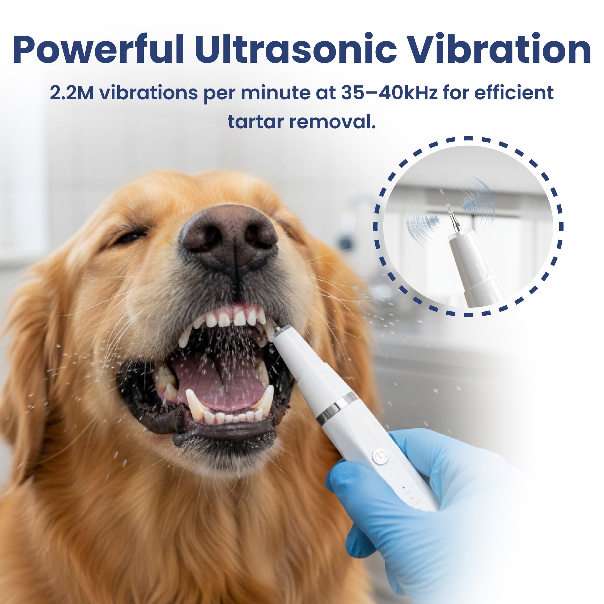 PawsPik® Ultrasonic Teeth Cleaner Dog Dental Kit