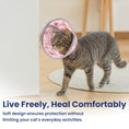 Load image into Gallery viewer, A gray cat wearing a soft, pink-patterned recovery cat collar walks comfortably on a wooden floor, ensuring protection while active.
