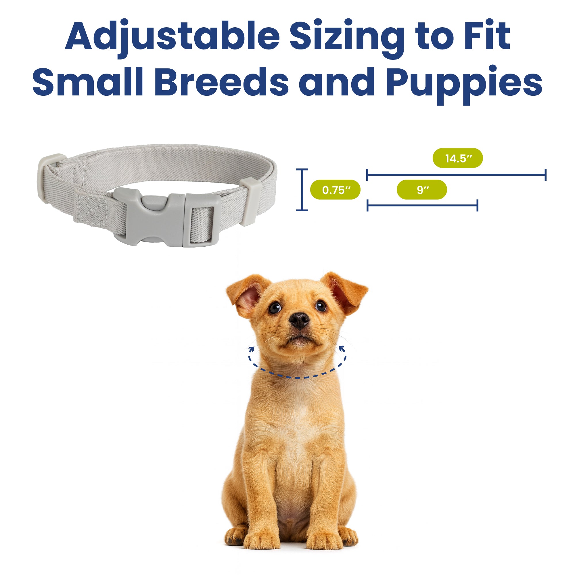 PawsPik® SecureFit Dog Collar