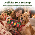 Load image into Gallery viewer, PawsPik® Christmas Bundle Holiday Squeaky & Dental Chew Dog Toy, 4 count
