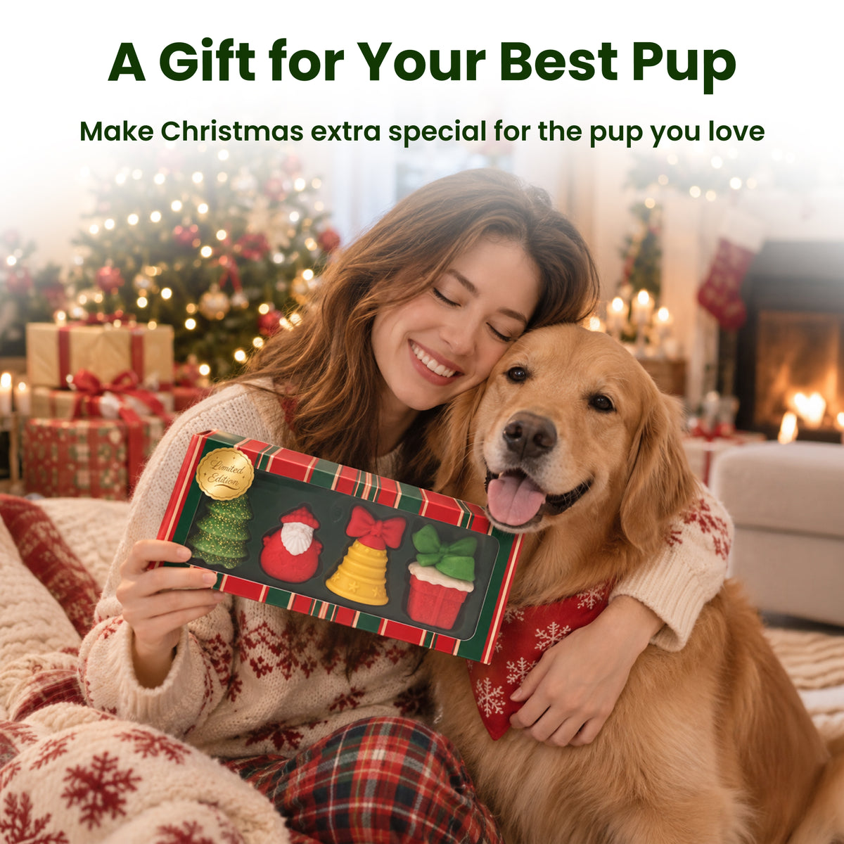PawsPik® Christmas Bundle Holiday Squeaky & Dental Chew Dog Toy, 4 count