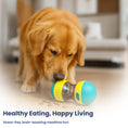 Load image into Gallery viewer, PawsPik® Dual Sphere Treat-Dispensing Rolling Toy
