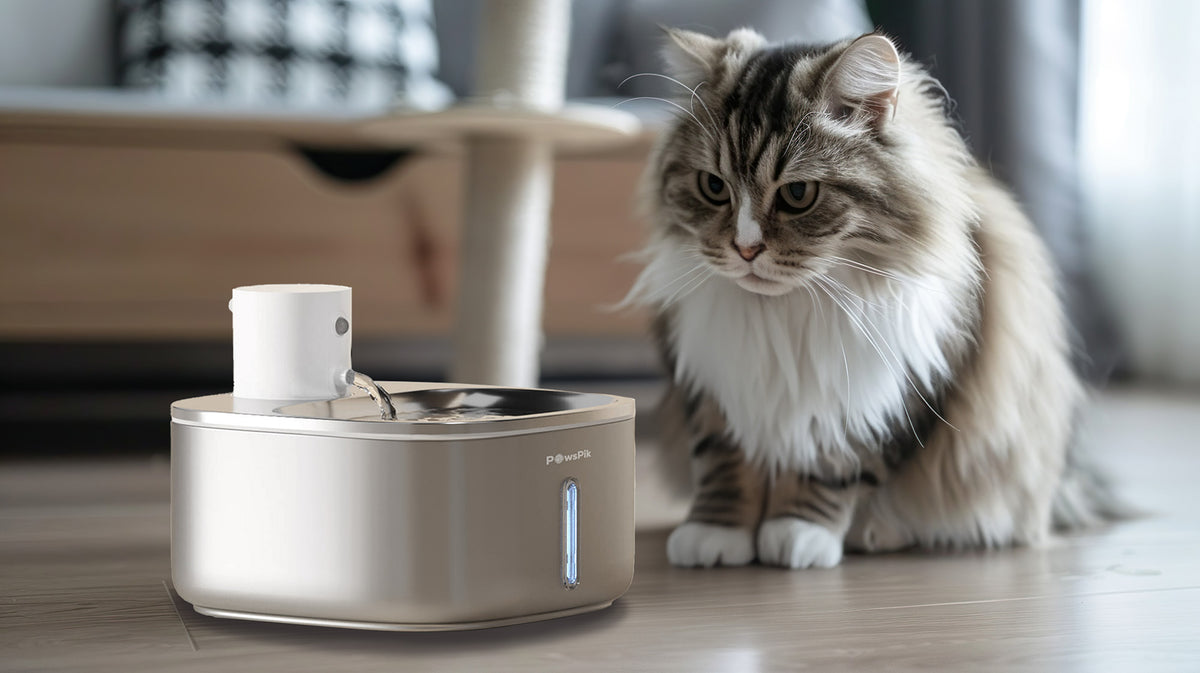 A fluffy cat sits next to a modern Pawspik pet drinking water fountain.
