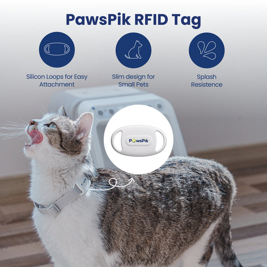 A cat wearing a PawsPik RFID Pet Feeder tag on its collar, featuring elements highlighting easy attachment, slim design, and splash resistance.