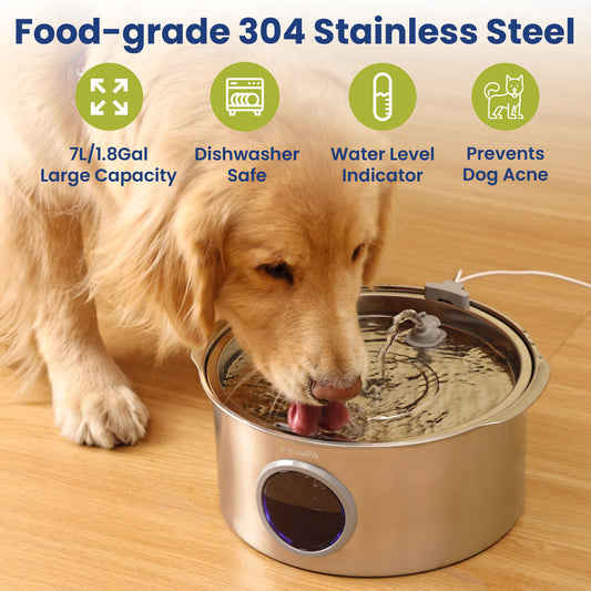 Golden retriever drinking from a stainless steel Dog Water Dispenser with a large capacity, features a water level indicator, and is dishwasher safe.