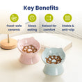 Load image into Gallery viewer, PawsPik® Lynx Ceramic Raised Slow Food Bowl
