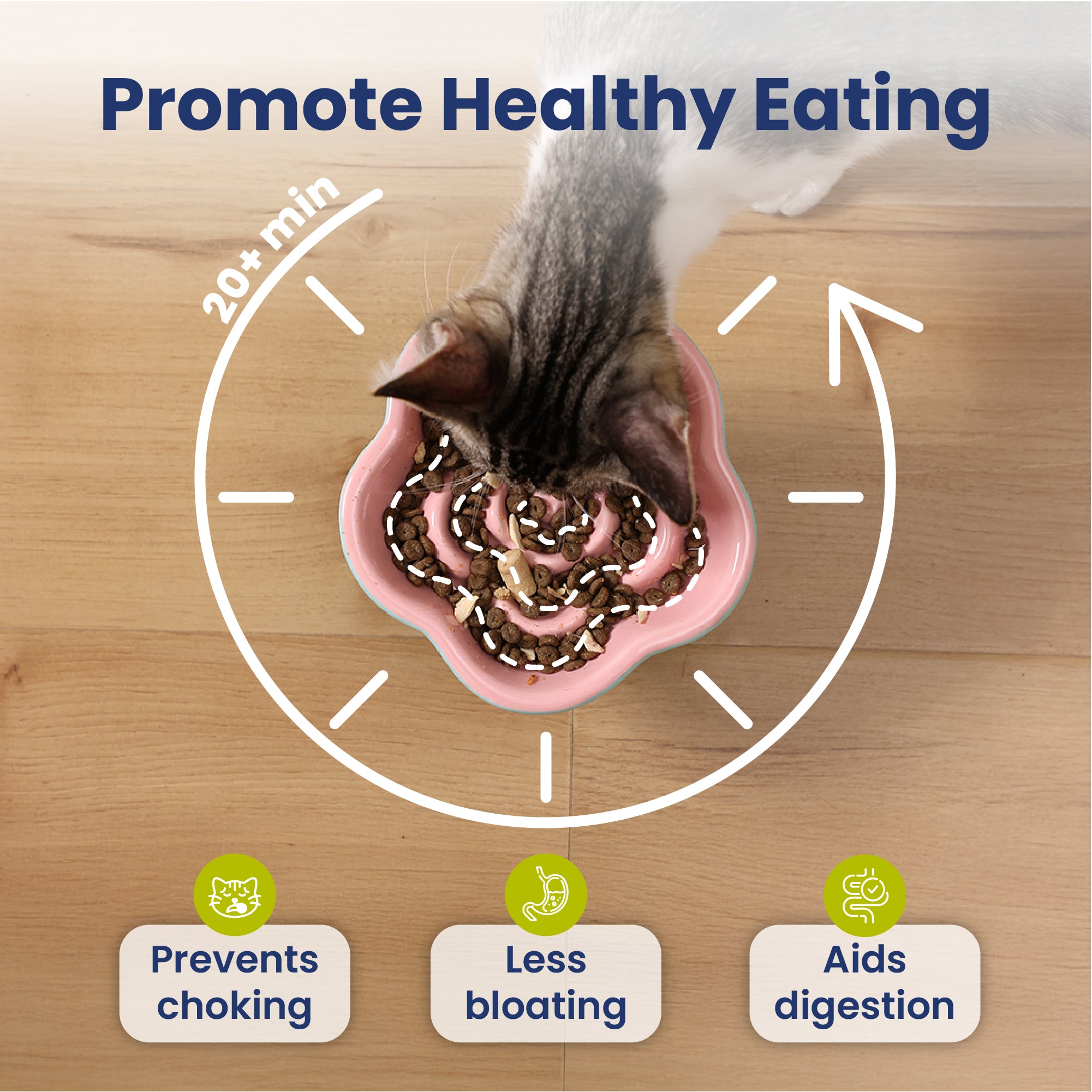 PawsPik Raised Ceramic Slow Feeder Dog & Cat Food Bowl