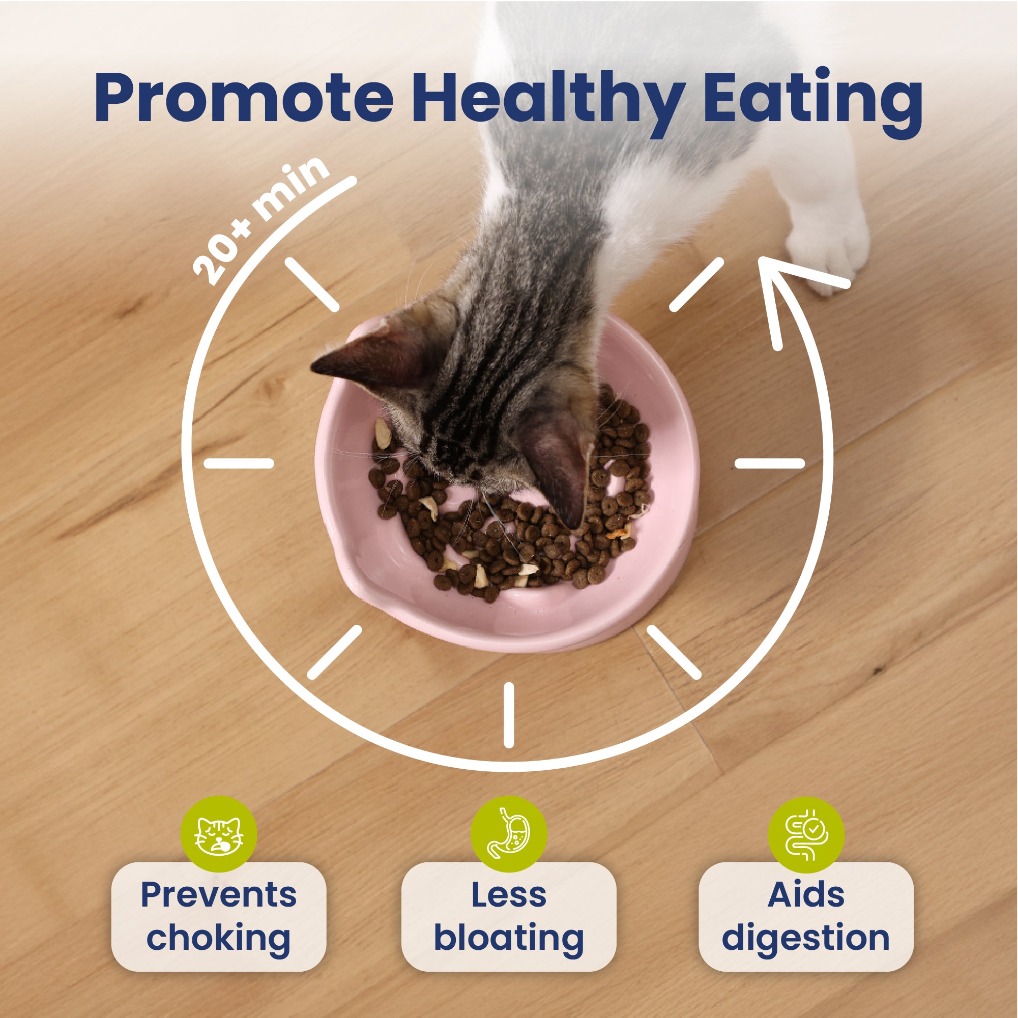 PawsPik® Lynx Ceramic Raised Slow Feeder Cat Bowl