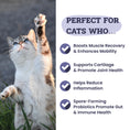Load image into Gallery viewer, Artisanal Paws™ Joint & Hip Daily Powder Supplement for Cats, 3.8-oz
