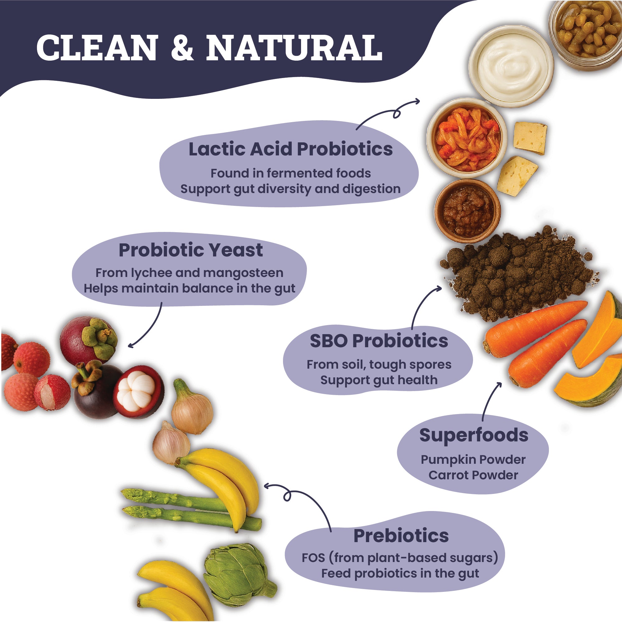 Artisanal Paws™ Digestive Probiotic & Prebiotic Blend Powder Supplement for Cats, 3.8-oz