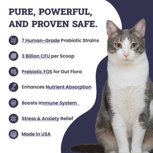 Artisanal Paws™ Digestive Probiotic & Prebiotic Blend Powder Supplement for Cats, 3.8-oz