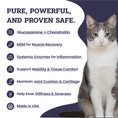 Load image into Gallery viewer, Artisanal Paws™ Joint & Hip Daily Powder Supplement for Cats, 3.8-oz
