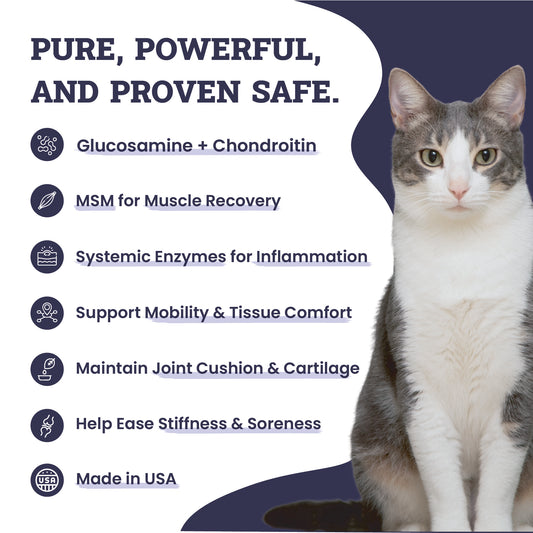 Artisanal Paws™ Joint & Hip Daily Powder Supplement for Cats, 3.8-oz