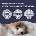 Load image into Gallery viewer, Artisanal Paws™ Digestive Enzyme Support Formula Powder Supplement for Cats, 3.8-oz
