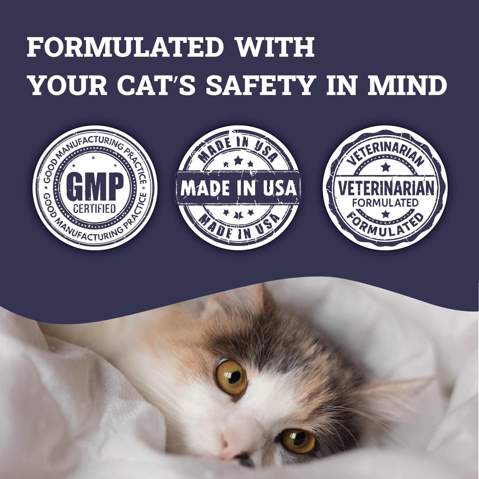 Artisanal Paws™ Digestive Enzyme Support Formula Powder Supplement for Cats, 3.8-oz