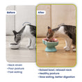 Load image into Gallery viewer, PawsPik Raised Ceramic Slow Feeder Dog & Cat Food Bowl
