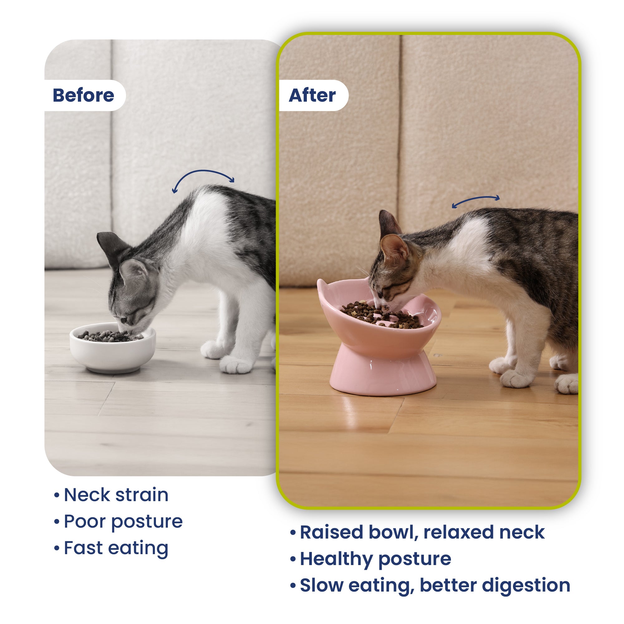 PawsPik® Lynx Ceramic Raised Slow Feeder Cat Bowl