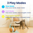 Load image into Gallery viewer, PawsPik® Feather Tail Rechargeable Spinner Chasers Cat Toy
