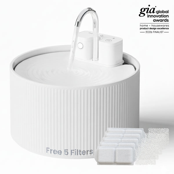 PawsPik® CeramiFlow Ceramic Cat Water Fountain