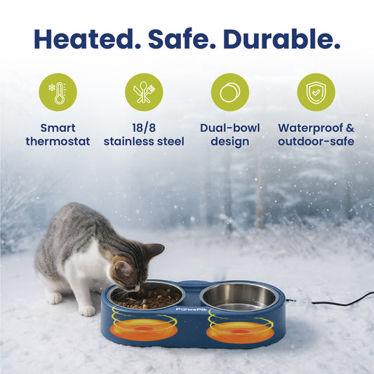 A gray cat eating from PawsPik heated pet bowl in a snowy outdoor setting, featuring stainless steel bowls and safety icons.