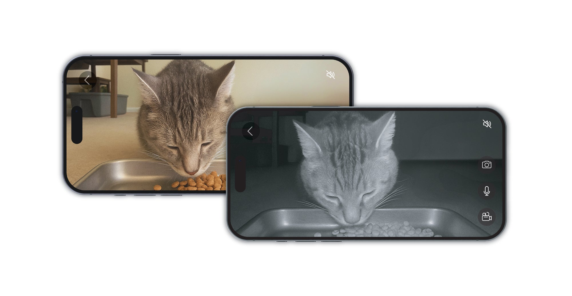 Two iPhones are displayed in the foreground, with a cat eating food in the phone screens.