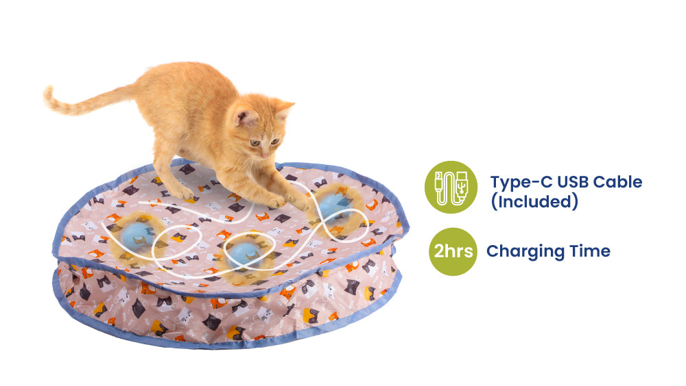 A playful orange cat exploring a colorful, softer interactive cat toy, featuring a Type-C USB charging cable and two hours charging time information.