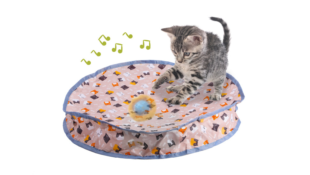 A playful kitten reaches for a colorful spinning toy atop a patterned interactive play mat, surrounded by musical notes. 