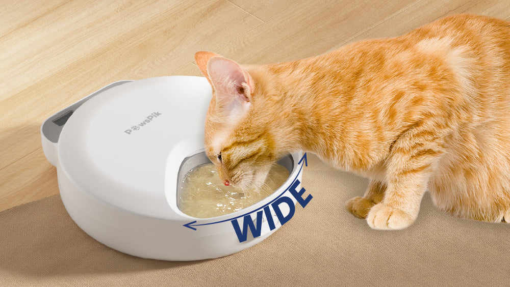 A tabby cat eating food from PawsPik Cat Feeder.