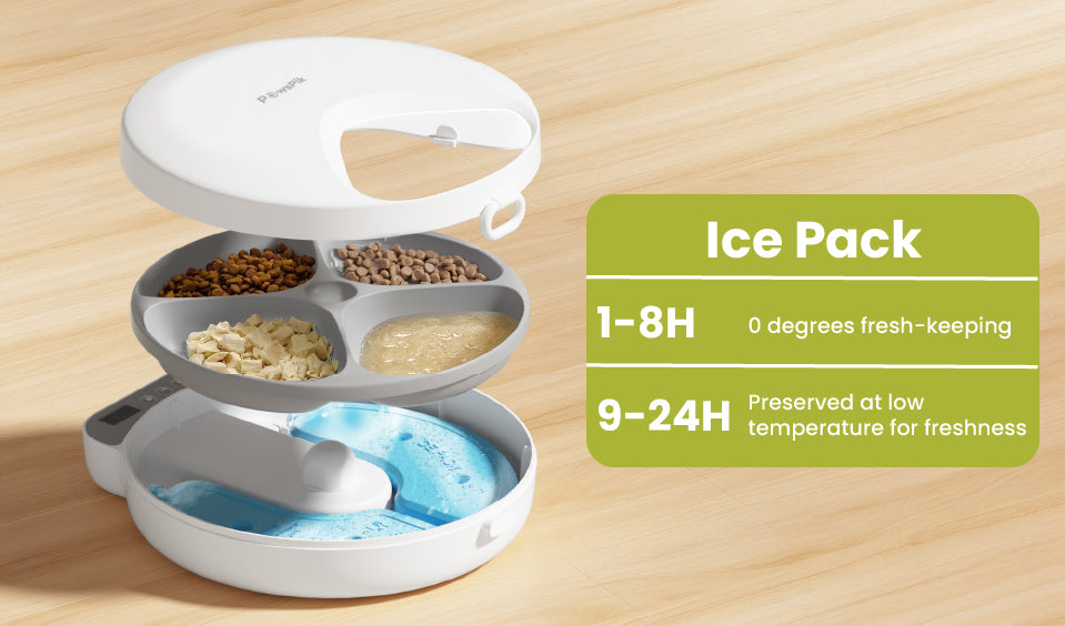 PawsPik Smart pet feeder with four food compartments and an ice pack underneath, shown open on a wooden surface; informational text about temperature-based freshness duration is displayed.