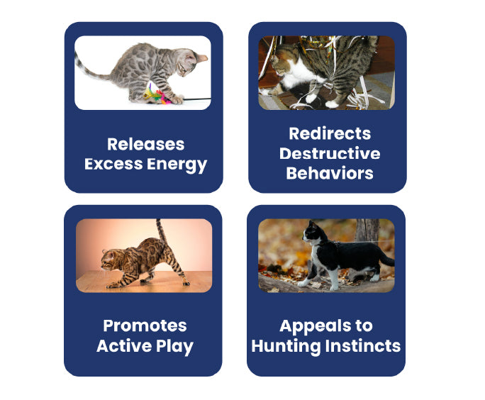 Four squares showcasing benefits of cat play: releasing energy, redirects behavior, promotes play, and appeals to hunting instincts.