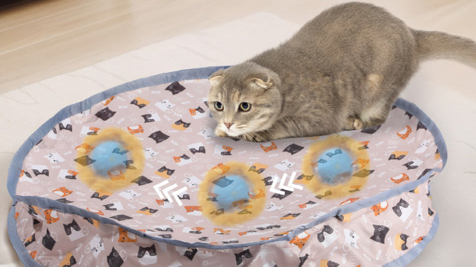 A gray cat with folded ears is poised on a colorful, patterned PawsPik smart cat toys with blue balls, focused and ready to play.