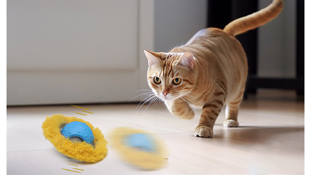 An orange tabby cat crouches and pounces towards a blue and yellow cat toy ball on the floor, showcasing playful curiosity and energy. 